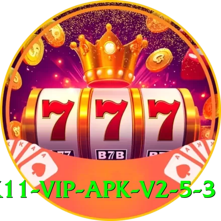 pk11 VIP APK v2.5.3 - 2